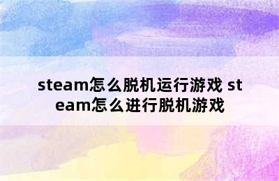 steam怎么脱机运行游戏 steam怎么进行脱机游戏